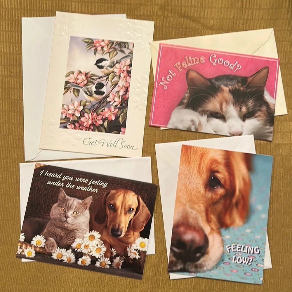 Assorted Get Well / Thinking of You / Sympathy / Blank / Anniversary c…